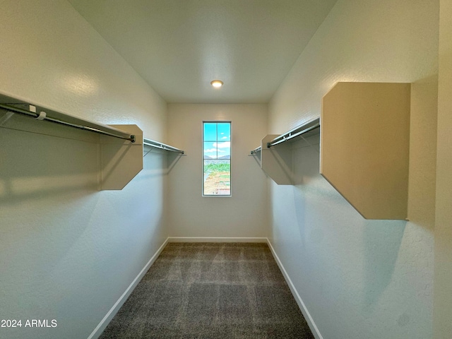 spacious closet featuring dark carpet