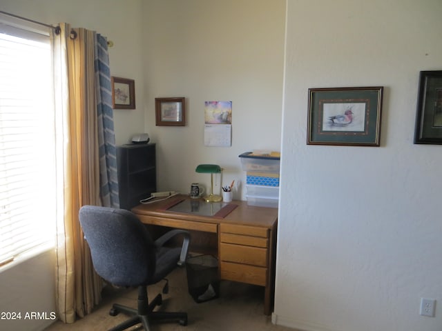 office area featuring carpet