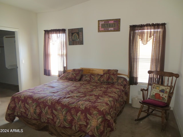 carpeted bedroom with multiple windows