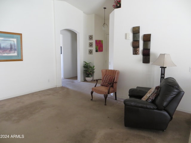 sitting room with high vaulted ceiling and carpet floors