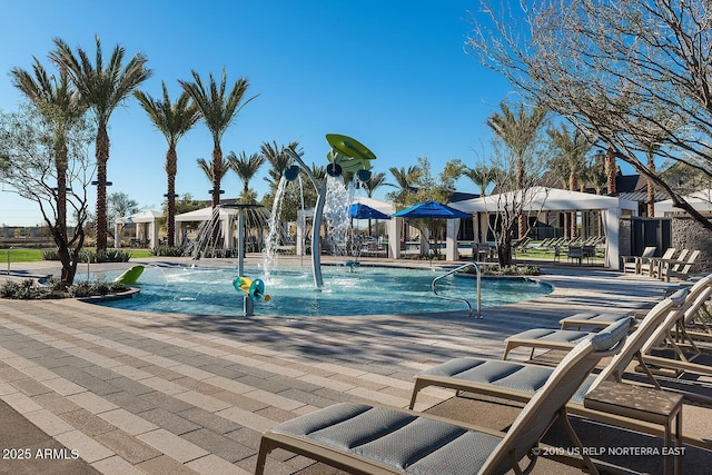 view of swimming pool