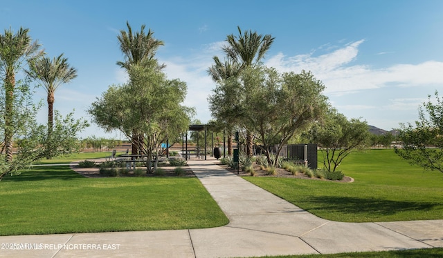 view of property's community featuring a yard