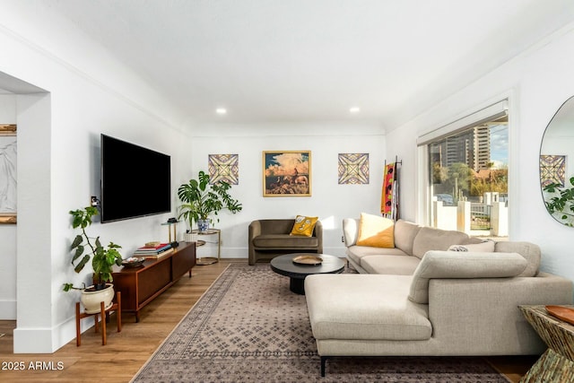 living room featuring wood-type flooring