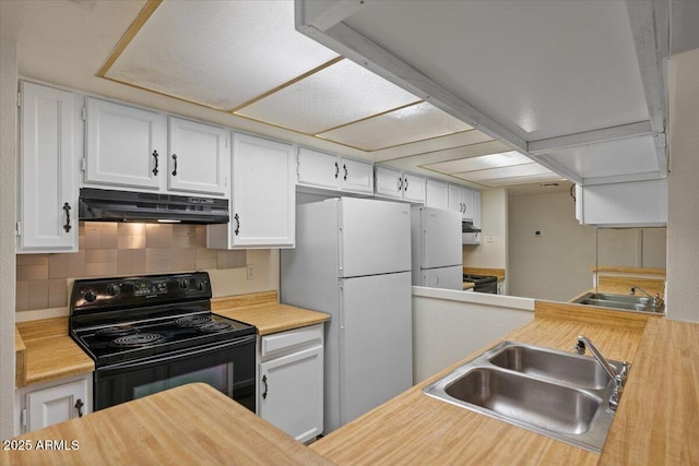 kitchen featuring under cabinet range hood, black electric range, a sink, and freestanding refrigerator