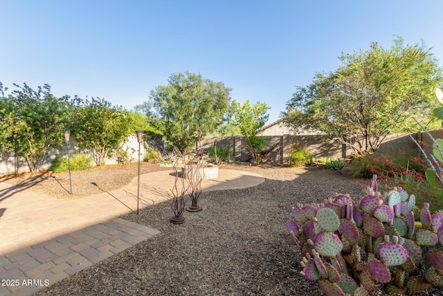 2149 E Aire Libre Ave, Phoenix, AZ 85022 - fenced backyard featuring a patio area