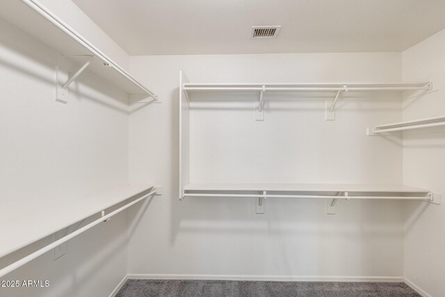 1037 E Baylor Ln, Gilbert, AZ 85296 - spacious closet featuring carpet flooring