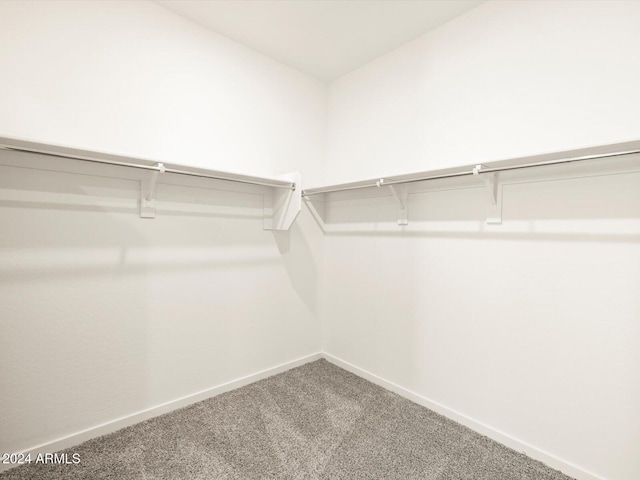 spacious closet with carpet