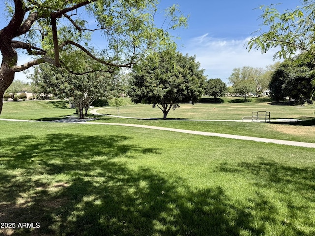 view of property's community with a yard