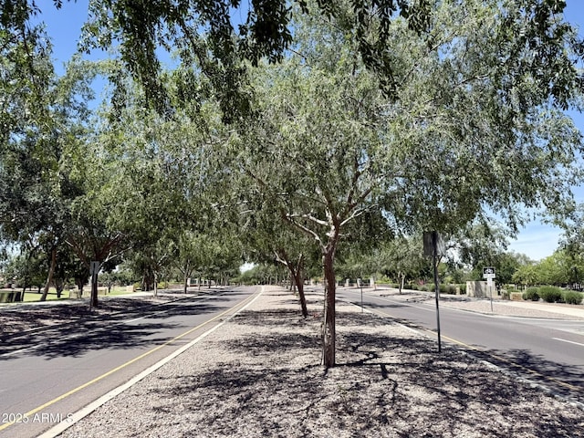 view of street with traffic signs