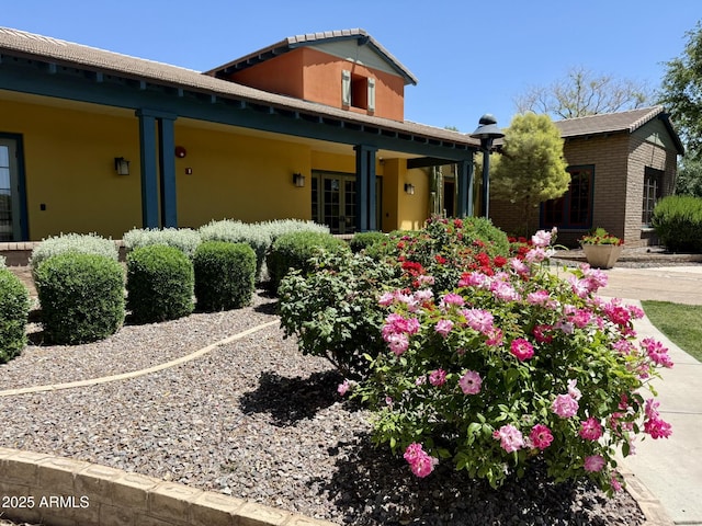 back of property with stucco siding and brick siding