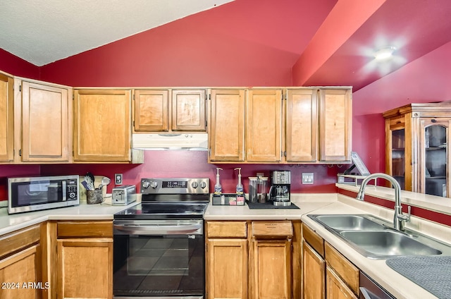 kitchen featuring sink, appliances with stainless steel finishes, and vaulted ceiling