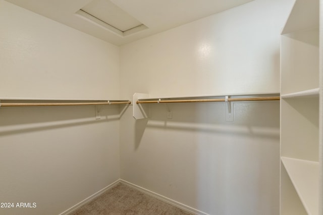 walk in closet with carpet flooring