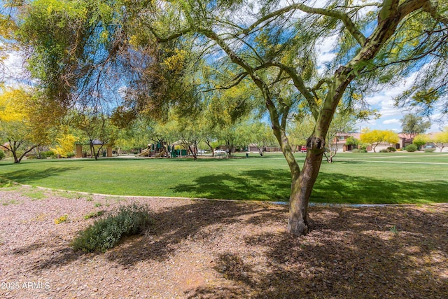 view of community featuring playground community and a lawn