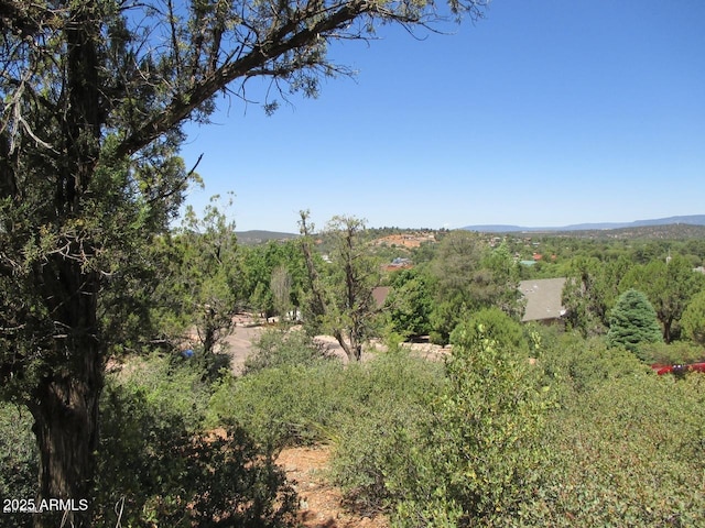 Listing photo 3 for 511 E Saguaro Cir Unit 20, Payson AZ 85541