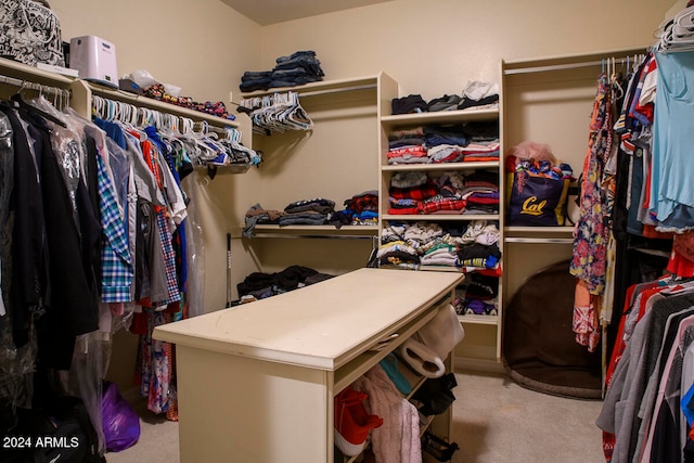 spacious closet featuring light colored carpet