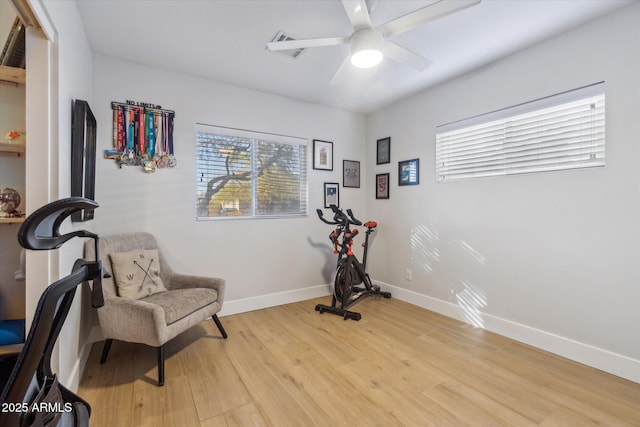 exercise area featuring ceiling fan and light hardwood / wood-style flooring