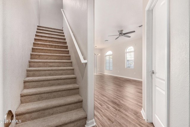 stairway with ceiling fan and wood-type flooring