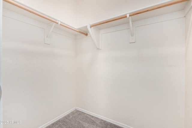 spacious closet with carpet