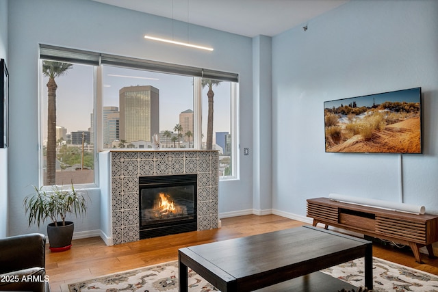 living room with a fireplace and light hardwood / wood-style floors