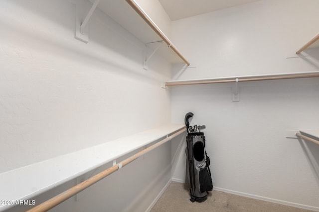 walk in closet featuring carpet floors