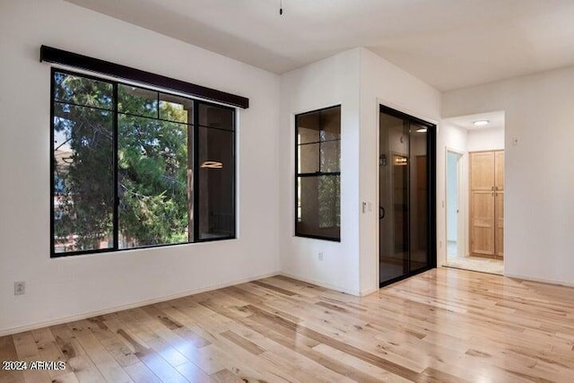 empty room featuring light hardwood / wood-style flooring and a wealth of natural light