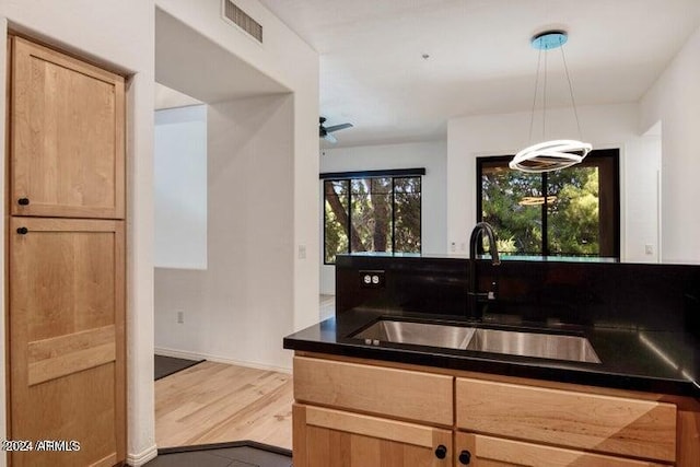 kitchen with wood-type flooring, ceiling fan, a healthy amount of sunlight, and sink