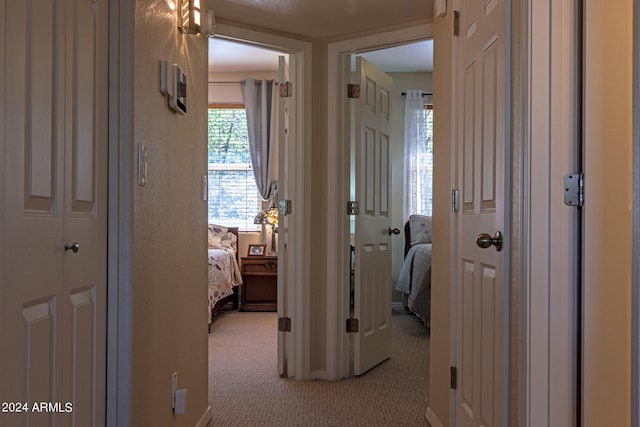 hall with light colored carpet