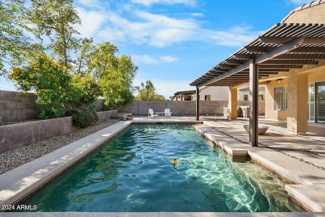 view of swimming pool with a pergola and a patio