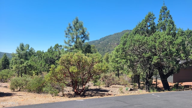 102 N Sundown Ln Unit 102, Pine AZ, 85544 land for sale