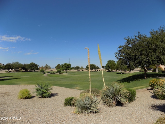 view of property's community featuring a lawn