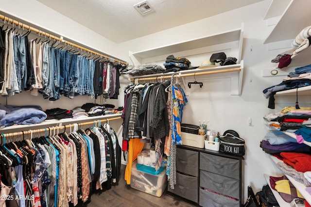 spacious closet with hardwood / wood-style flooring