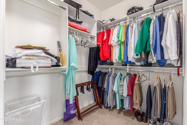 spacious closet featuring carpet