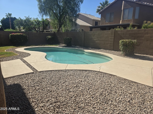955 W Laurel Ave, Gilbert, AZ 85233 - view of pool featuring a fenced backyard and a patio area