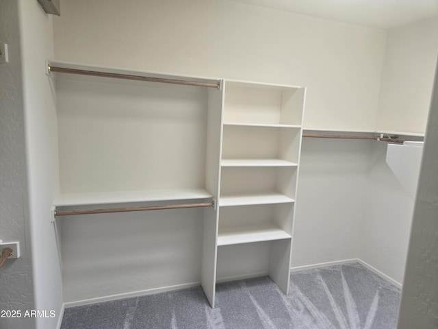955 W Laurel Ave, Gilbert, AZ 85233 - spacious closet with carpet floors