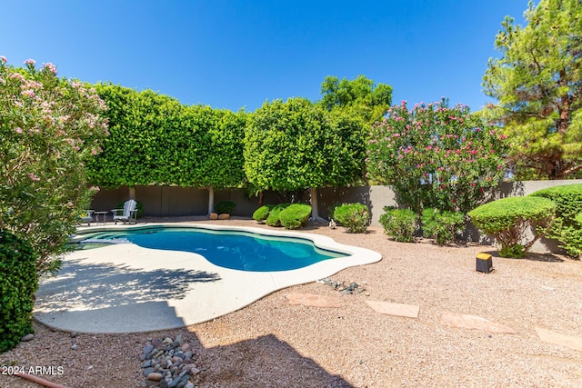 view of pool featuring a patio area