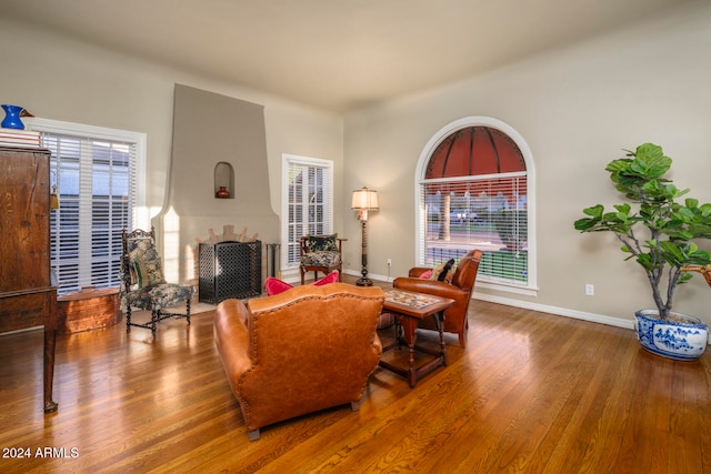 living room featuring hardwood / wood-style flooring