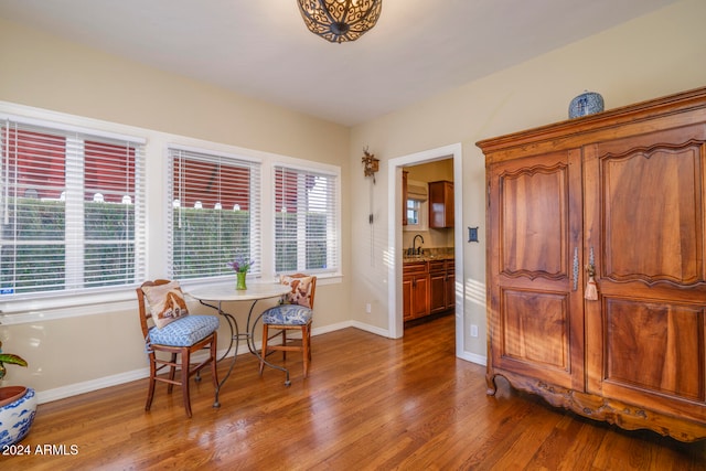 sitting room with dark wood-type flooring and sink