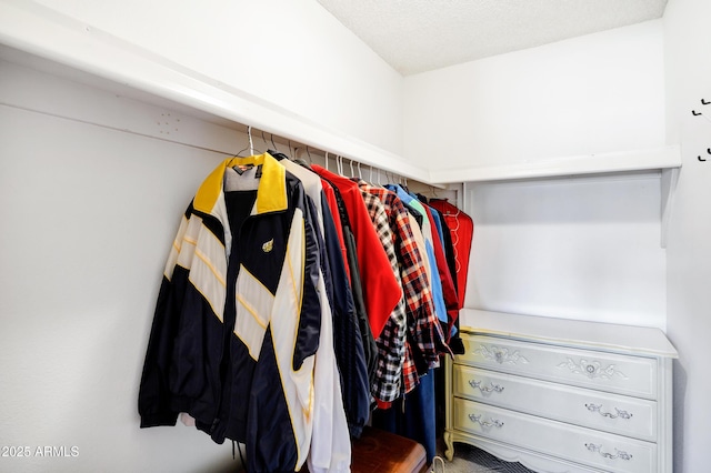 view of walk in closet