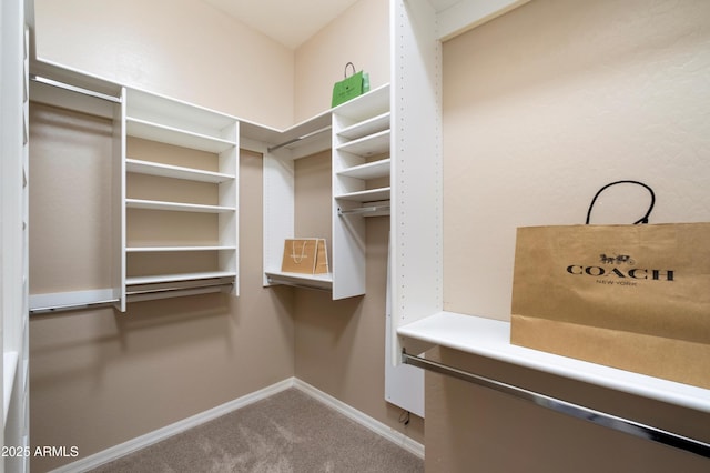 spacious closet with carpet floors