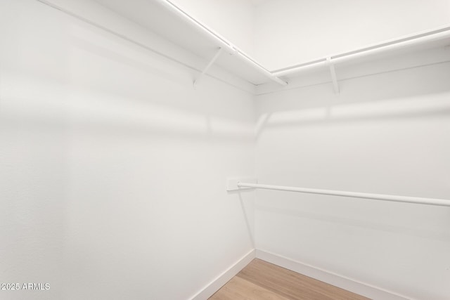 walk in closet featuring hardwood / wood-style flooring