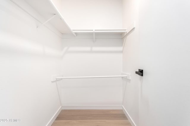 spacious closet with wood-type flooring