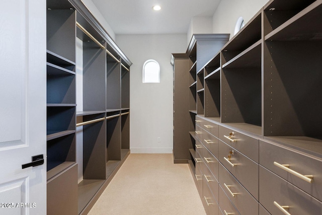 815 E County Down Dr, Chandler, AZ 85249 - view of walk in closet