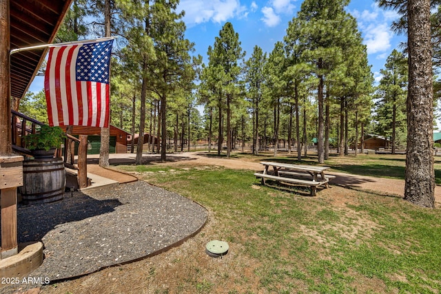 2295 Bison Ranch Trl, Overgaard, AZ 85933 - view of green lawn