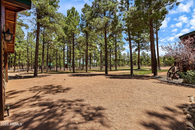 2295 Bison Ranch Trl, Overgaard, AZ 85933 - view of yard