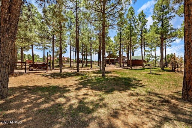 2295 Bison Ranch Trl, Overgaard, AZ 85933 - view of yard