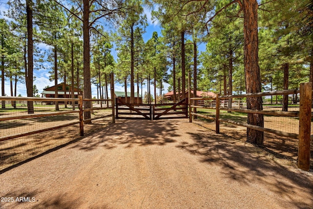 2295 Bison Ranch Trl, Overgaard, AZ 85933 - view of dirt / gravel road with a gate