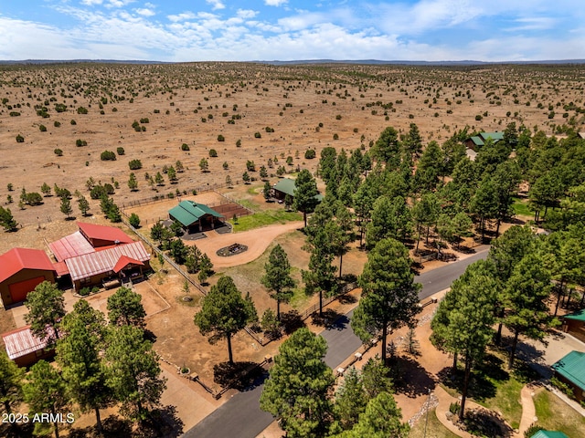 2295 Bison Ranch Trl, Overgaard, AZ 85933 - aerial view of sparsely populated area featuring a desert landscape