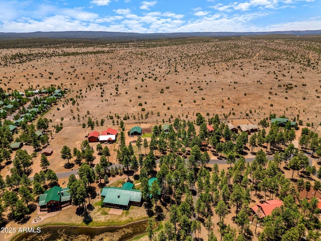 2295 Bison Ranch Trl, Overgaard, AZ 85933 - aerial view of sparsely populated area with a desert landscape