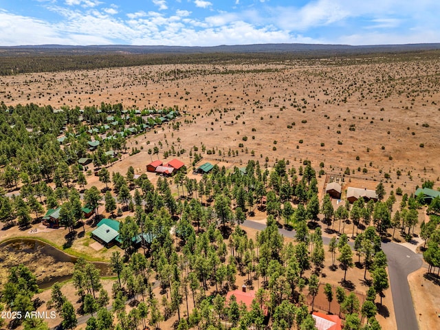 2295 Bison Ranch Trl, Overgaard, AZ 85933 - overview of rural landscape with a desert landscape