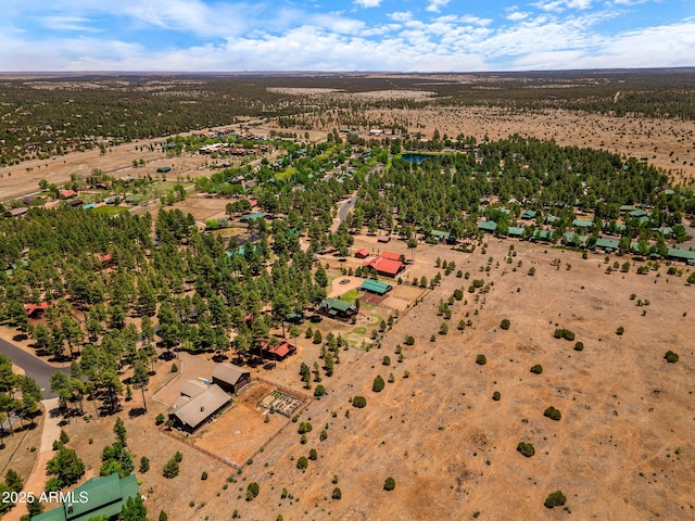 2295 Bison Ranch Trl, Overgaard, AZ 85933 - drone / aerial view